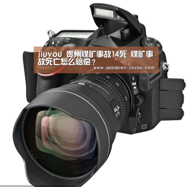 jiuyou_贵州煤矿事故14死 煤矿事故死亡怎么赔偿?(图2) 九游游戏平台官网