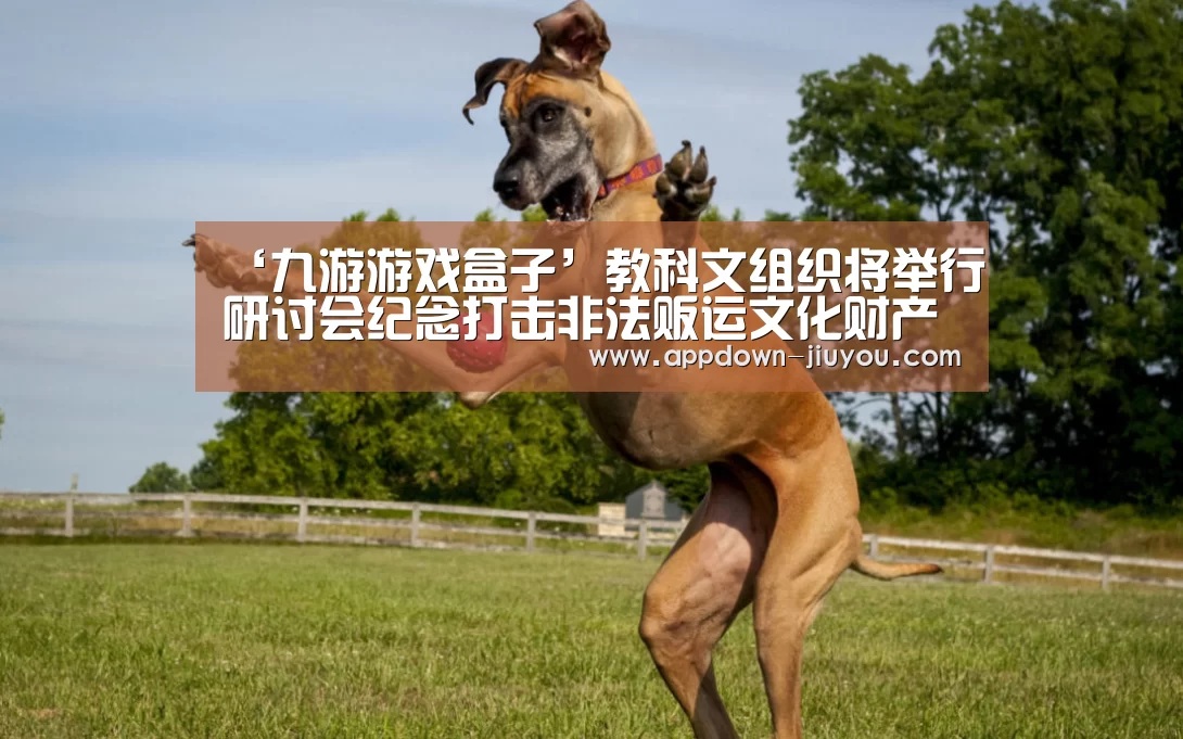 九游游戏盒子