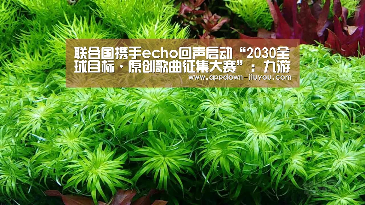 联合国携手echo回声启动“2030全球目标·原创歌曲征集大赛”:九游游戏中心官网(图4) 九游官网下载