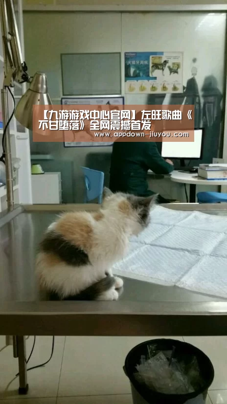 九游游戏盒子