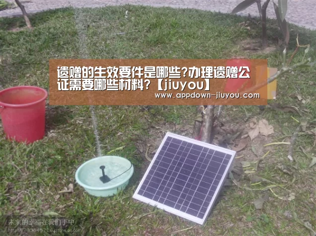 遗赠的生效要件是哪些?办理遗赠公证需要哪些材料?【jiuyou】(图3) 九游游戏平台官网