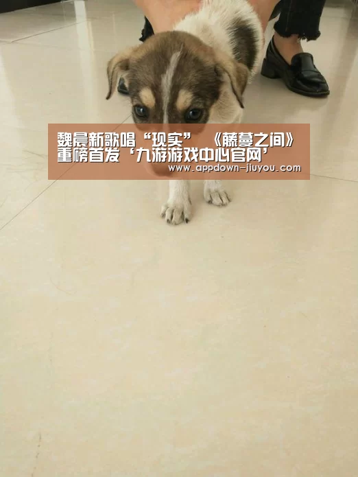 魏晨新歌唱“现实” 《藤蔓之间》重磅首发‘九游游戏中心官网’(图1) 九游官网下载